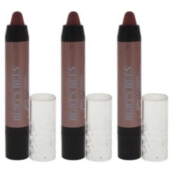 Burt's Bees Burts Bees Gloss Lip Crayon - 401 Outback Oasis By Burts Bees For Women - 0.1 Oz Lipstick - Pack Of 3