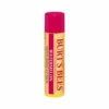 Burt's Bees Watermelon Lip Balm 4.25g 1 Burt's Bees Watermelon Lip Balm 4.25g -Burt's Bees OTB 3984.full