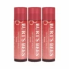3 X Burt's Bees Tinted Lip Balm 4.25g - Rose 2 3 X Burt's Bees Tinted Lip Balm 4.25g - Rose -Burt's Bees OTB 4005.full
