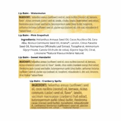 Burt's Bees Sweet Summer Lip Balm Set 4x4.25g -Burt's Bees OTB 4007.alt 5