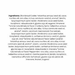 Burt's Bees Festive Fix 4 Piece Gift Set 9 Burt's Bees Festive Fix 4 Piece Gift Set -Burt's Bees OTB 5940.alt 3