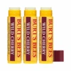 3 X Burt's Bees Wild Cherry Lip Balm 4.25g -Burt's Bees OTB 838.full