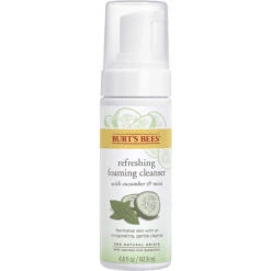 Burt's Bees Skin Nourishment Gentle Foaming Cleanser For Normal To Combination Skin With Cucumber And Mint 4.8 Ounces