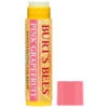 Burt's Bees Lip Balm Pink Grapefruit, Pink Grapefruit
