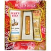 Burt's Bees Honey Pot Holiday Gift Set, 3 Honey Skin Care Products - Milk And Honey Body Lotion, Honey And Grapeseed Hand Cream And Honey Lip Balm