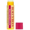 Burt's Bees 100% Natural Origin Moisturizing Lip Balm -Burt's Bees s20924207