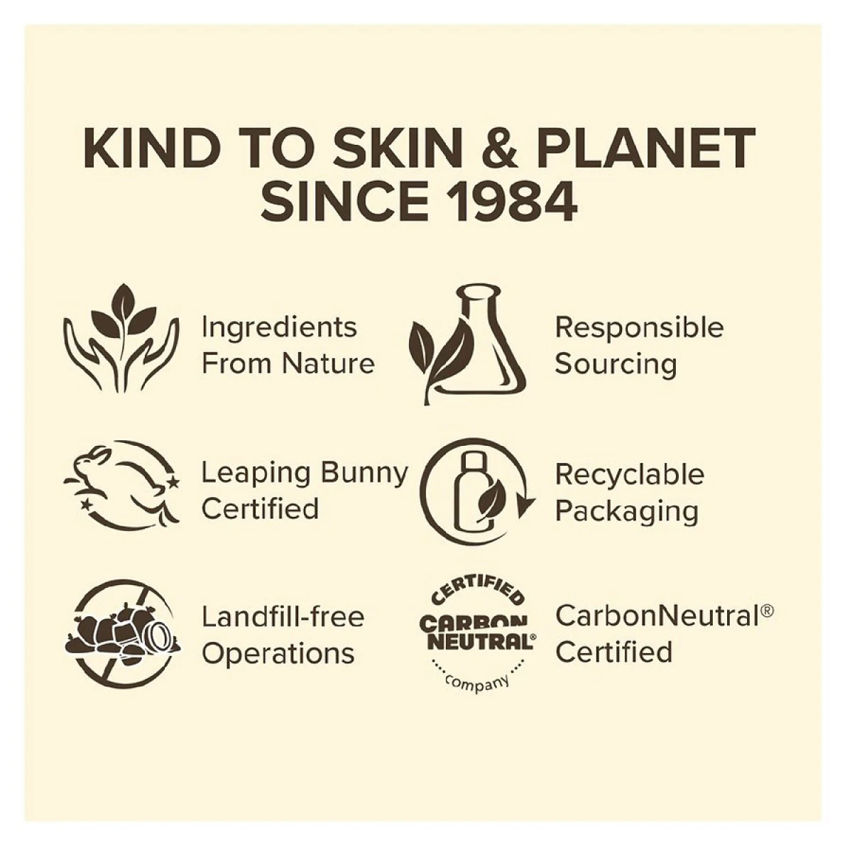 Burt's Bees Moisturizing Lip Balm Pack Cucumber Mint & Beeswax 4 Burt's Bees Moisturizing Lip Balm Pack Cucumber Mint & Beeswax - Image 2